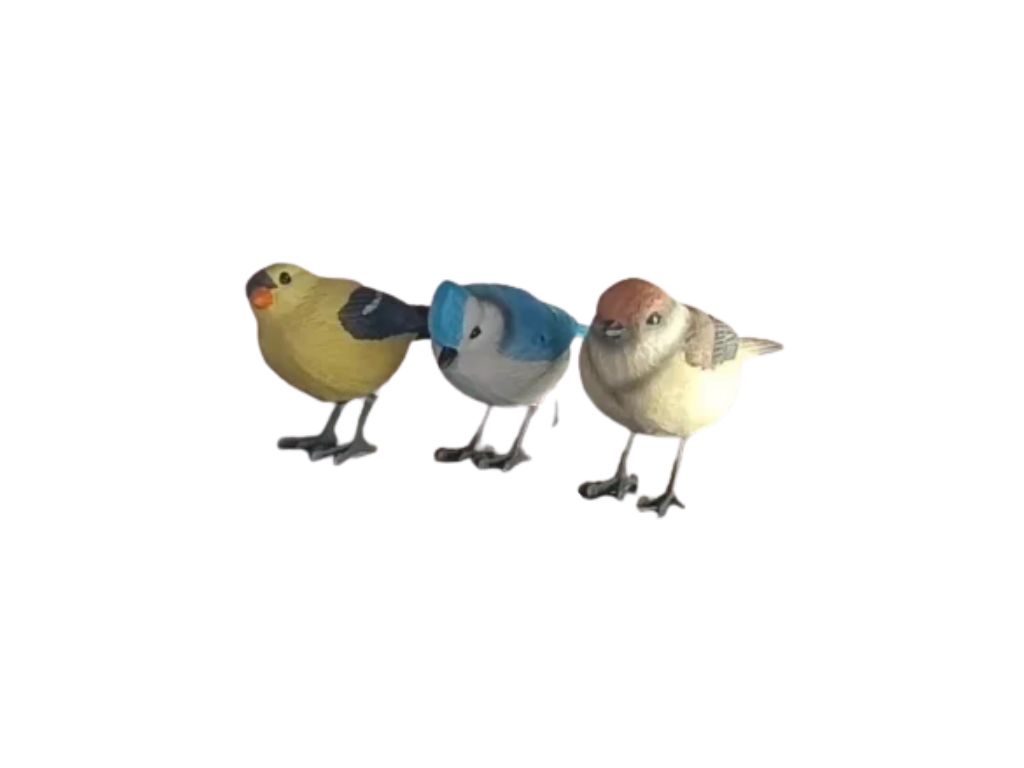 Vogeltjes en decoratieve dieren