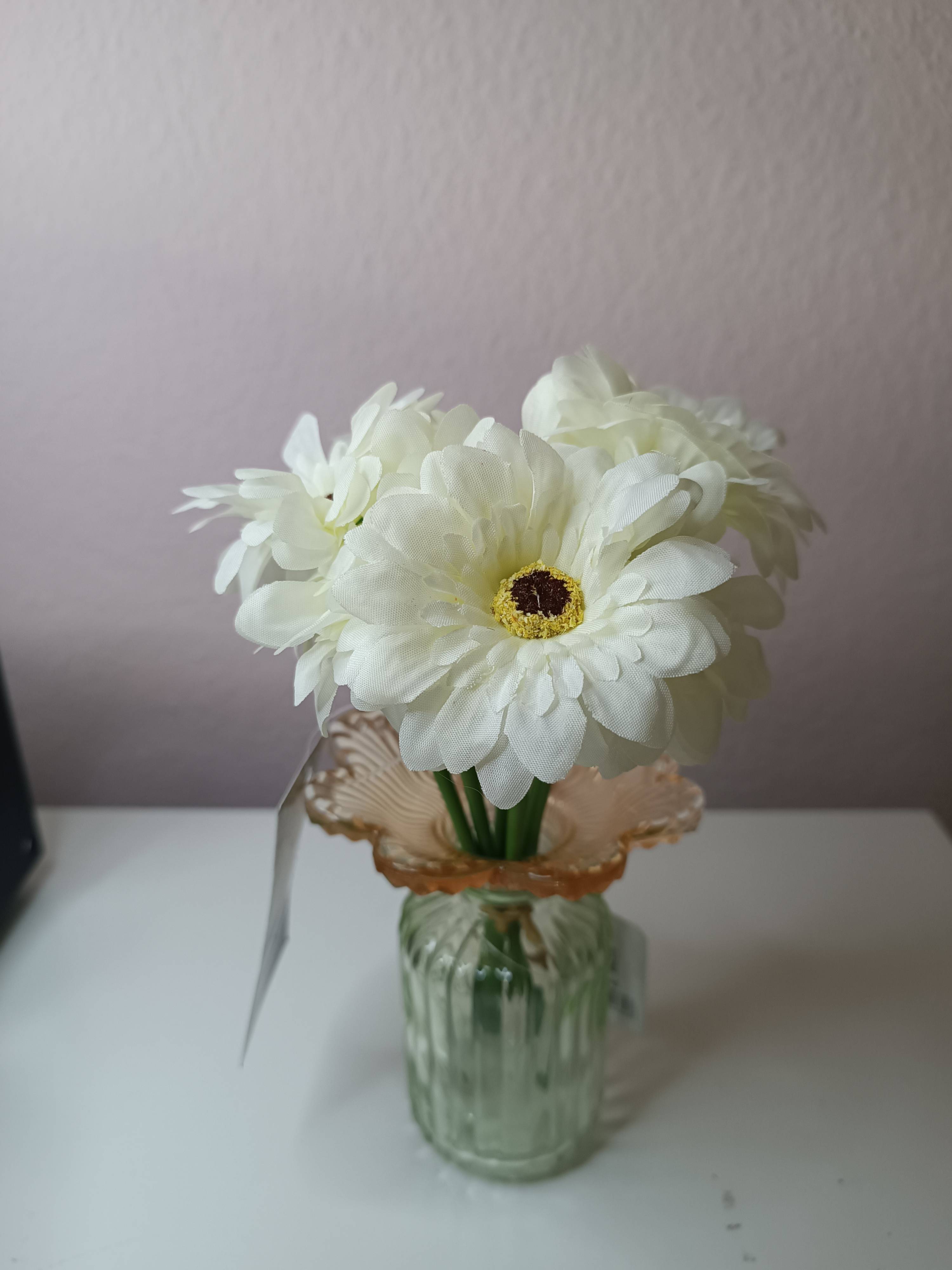gerbera's kunst