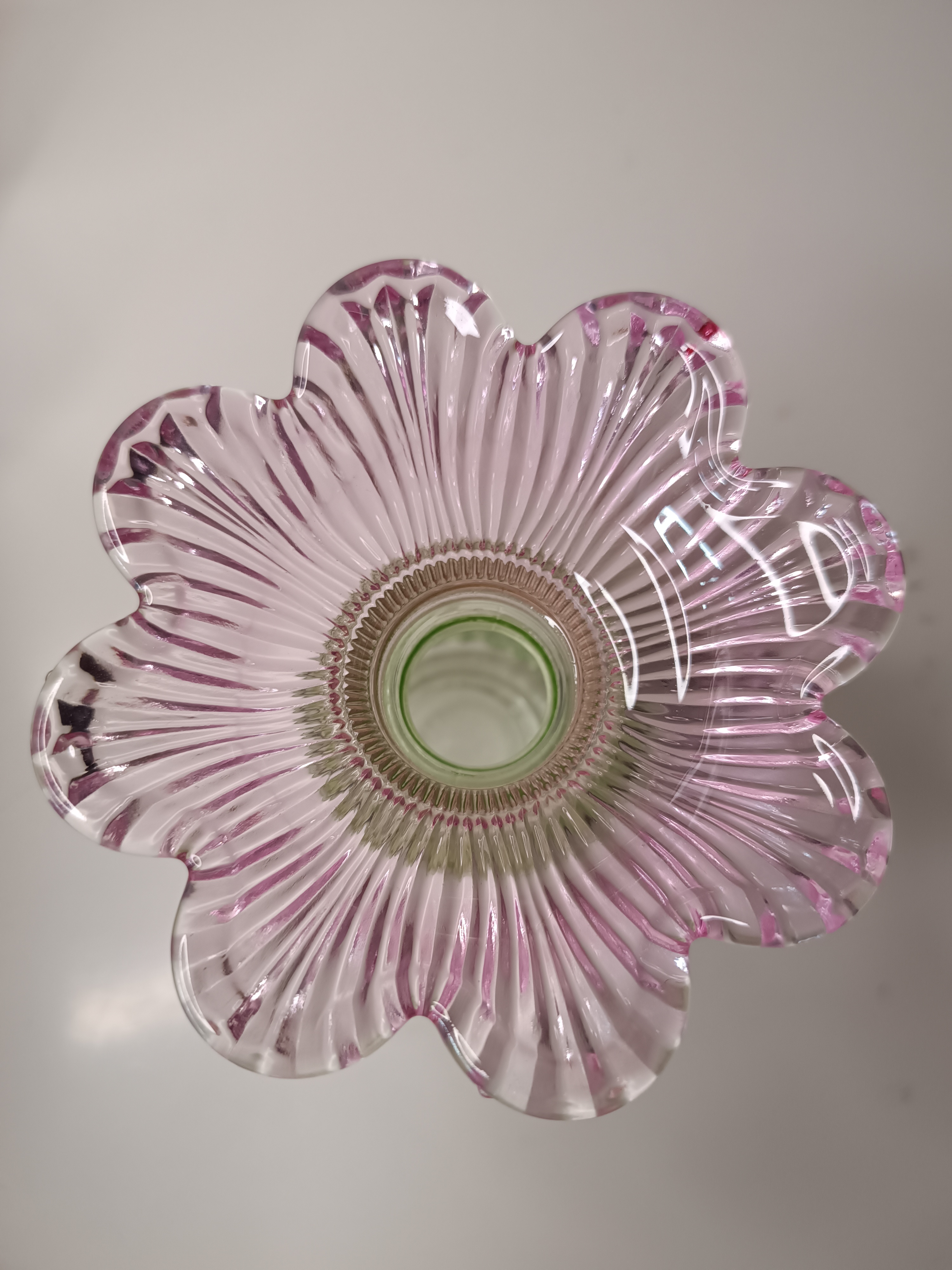 vaas roze bloem