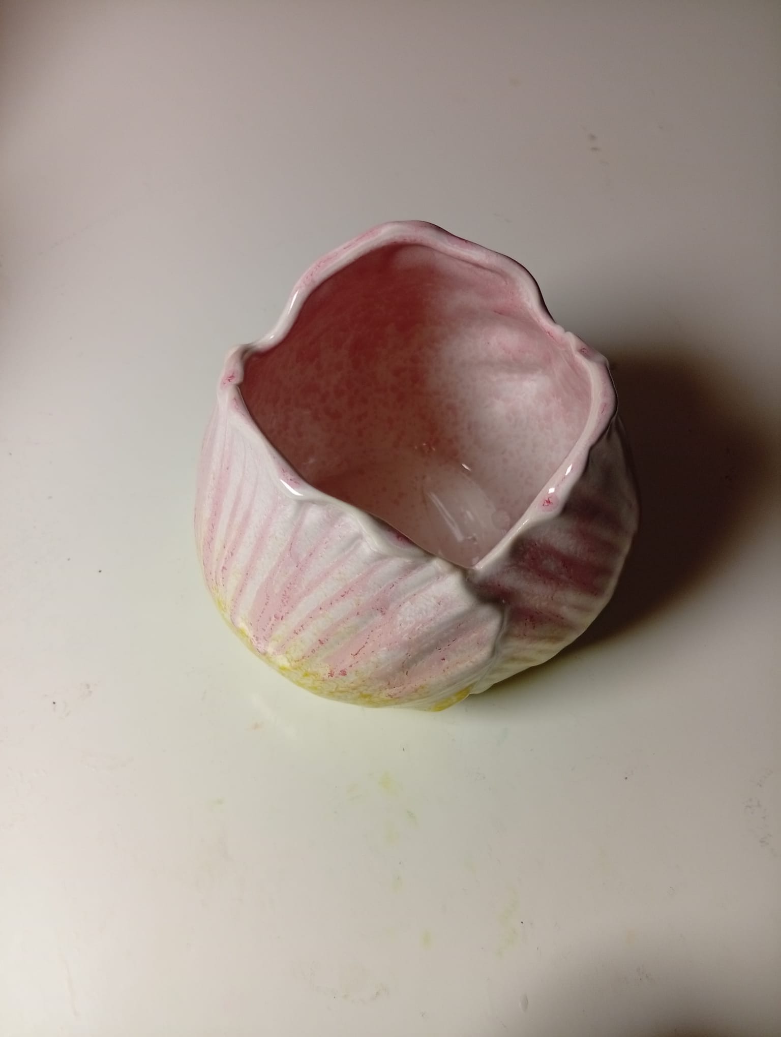 vaas tulp