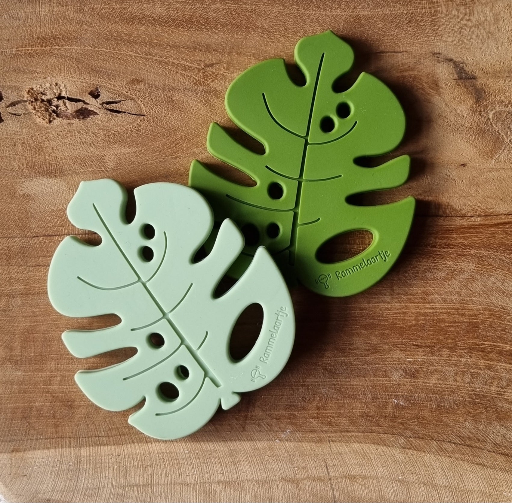 monstera bijtring