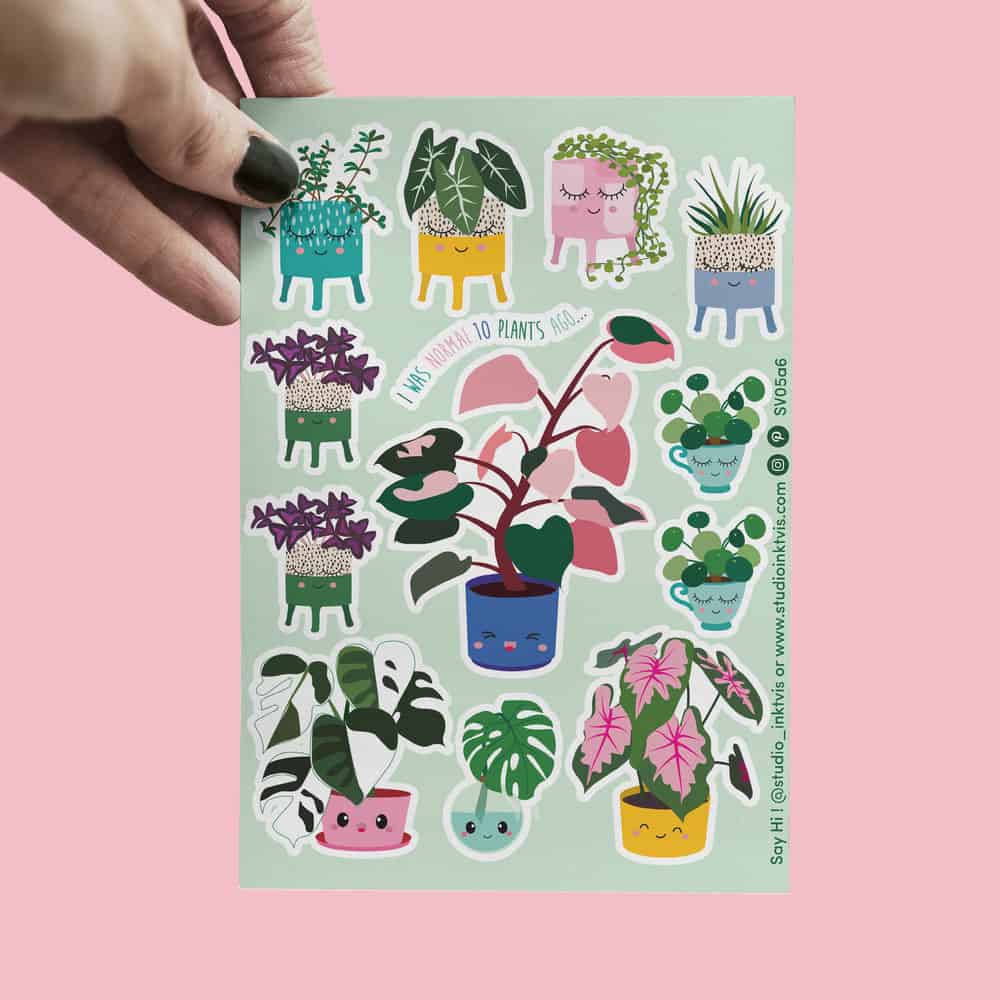 stickervel planten monstera alocasia pannekoekenplant