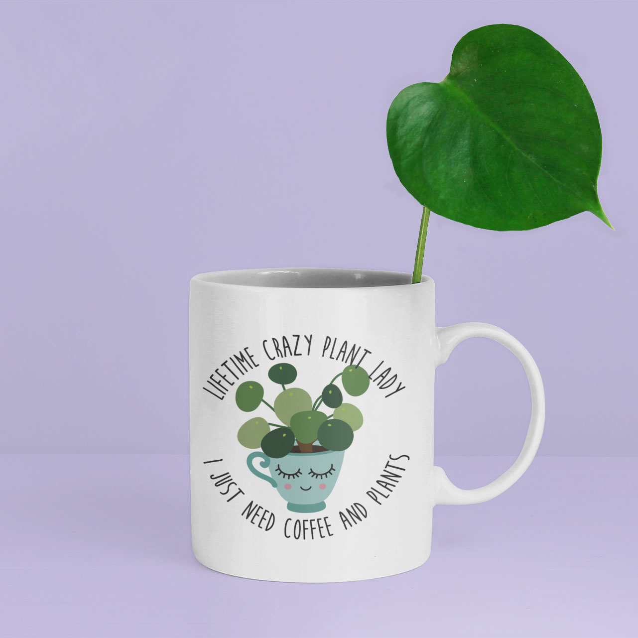 plant mok pannekoekenplant