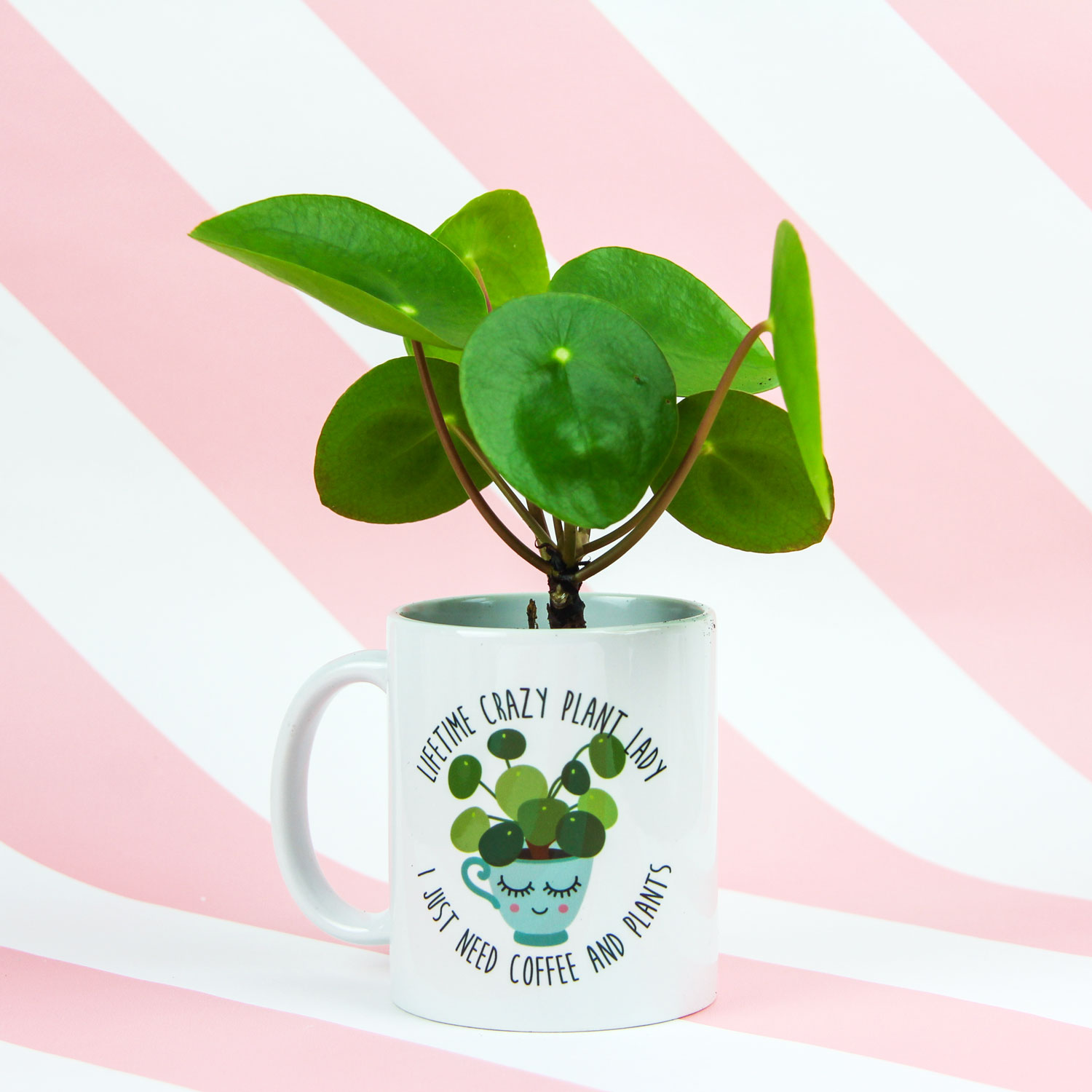 koffiemok