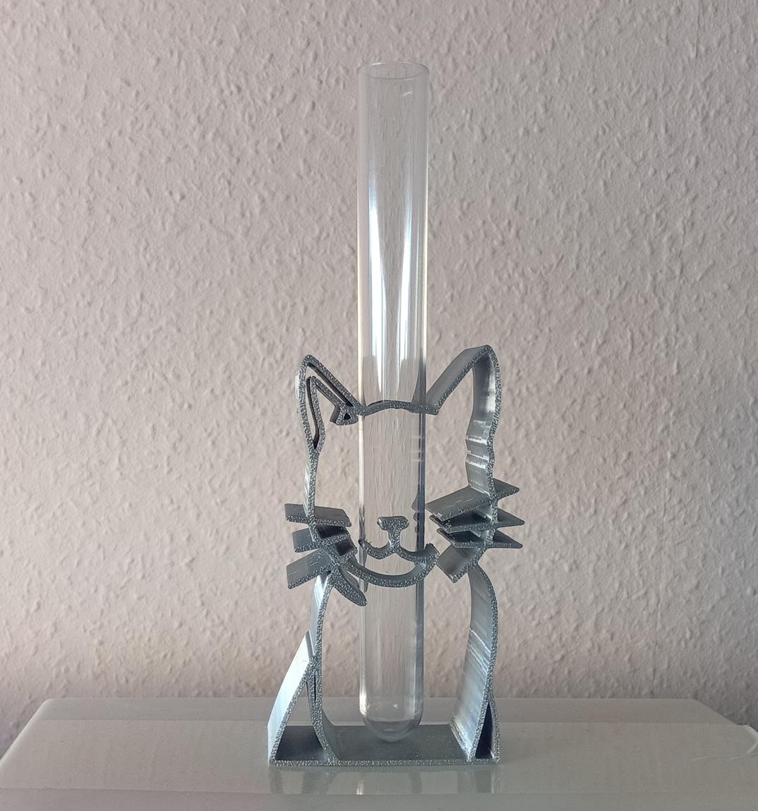grijze stekjeshouder kat